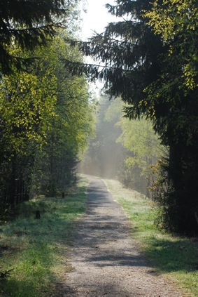 Sommer in Holzhau
